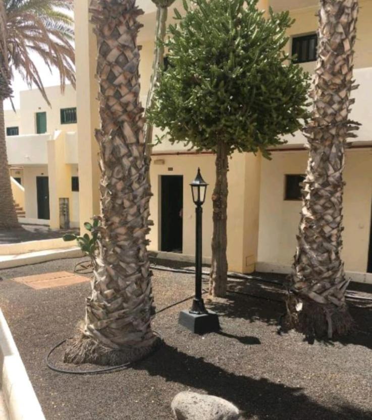 Apartamento Suri Costa Teguise Exterior foto