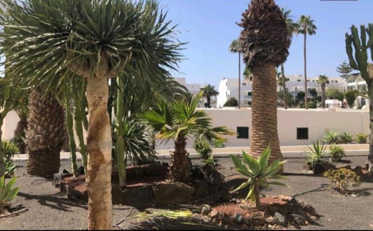 Apartamento Suri Costa Teguise Exterior foto